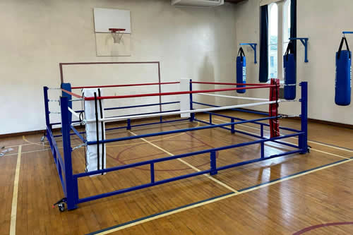 fold out boxing ring